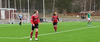 Nyförvärvet får fina lovord efter premiärmatchen