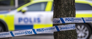 Fängelse för våldsamt lägenhetsrån i Malmö