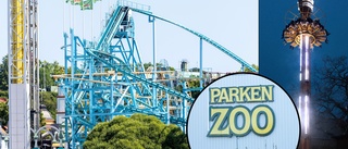 Parken Zoo håller öppet som vanligt efter dödsolyckan