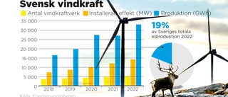 Morot och piska ska balansera nya vindkraftverk