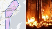 Varningen: Stor risk för skogsbränder