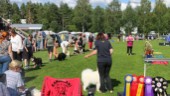 Hundutställning lockade många tävlande till Sjulnäs