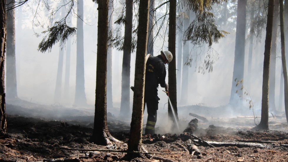 Räddningstjänsten i Vimmerby, Rumskulla samt Mariannelund har larmats till en skogsbrand utanför Rumskulla.