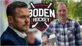 Boden Hockey bygger ny organisation – tänker anställa sportchef