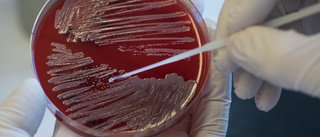 AI kan hitta antibiotika mot resistenta bakterier