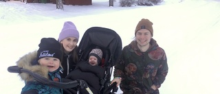 Klimatet viktigt i valet av barnvagn – föräldrar i Piteå: "Tänk på var vi bor"