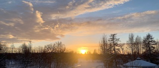 Läsarbilden: Solnedgång över Badhusparken