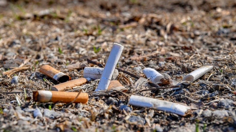 Det blir numera böter för den som kastar cigarettfimpar utomhus. Fimpar innehåller ämnen som även är skadliga för naturen, bland annat tungmetallen kadmium.