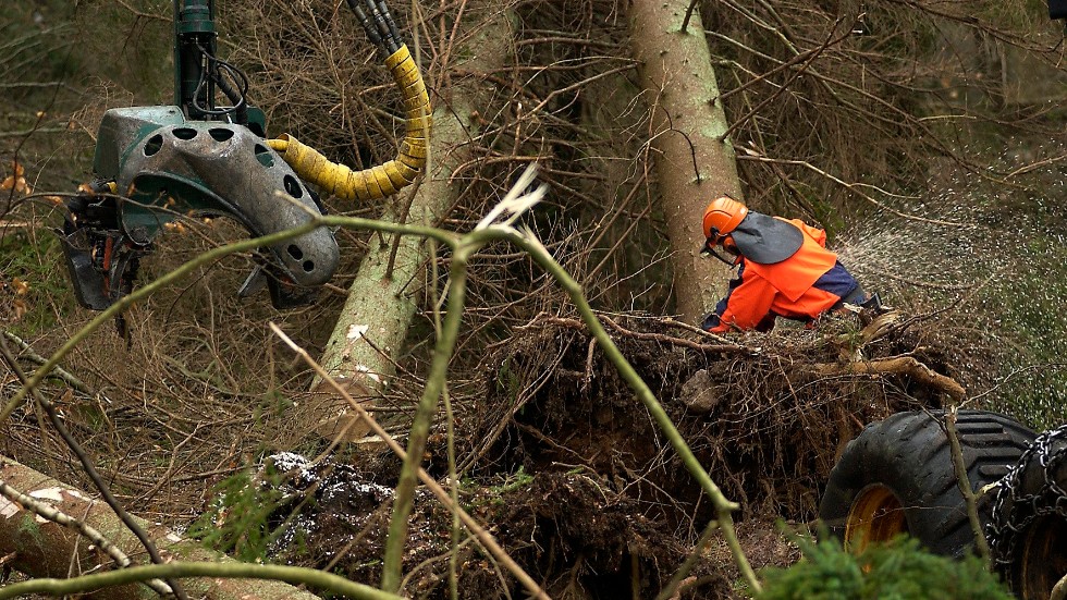 Skogssälsskapet ger tips på hur skogsägare kan rädd sin skog från att fällas av kraftiga stormar. Bilden är från 2005 och stormen Gudruns verkan.