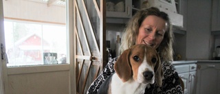 Östgötsk hundentusiast kan bli bäst i Sverige: "Roligt att man kan vara med och stötta" 