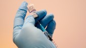 Omikron står emot vaccinskydd – till viss del