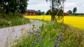 Skellefteå: Förslag från MP – Stärk landsbygden med nav i ytterområdena 