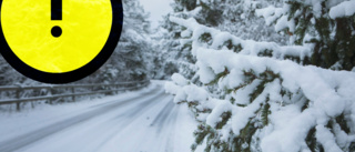 Kraftiga snöbyar över Gotland – gul vädervarning utfärdad • Väntas bli som mest intensivt under natten