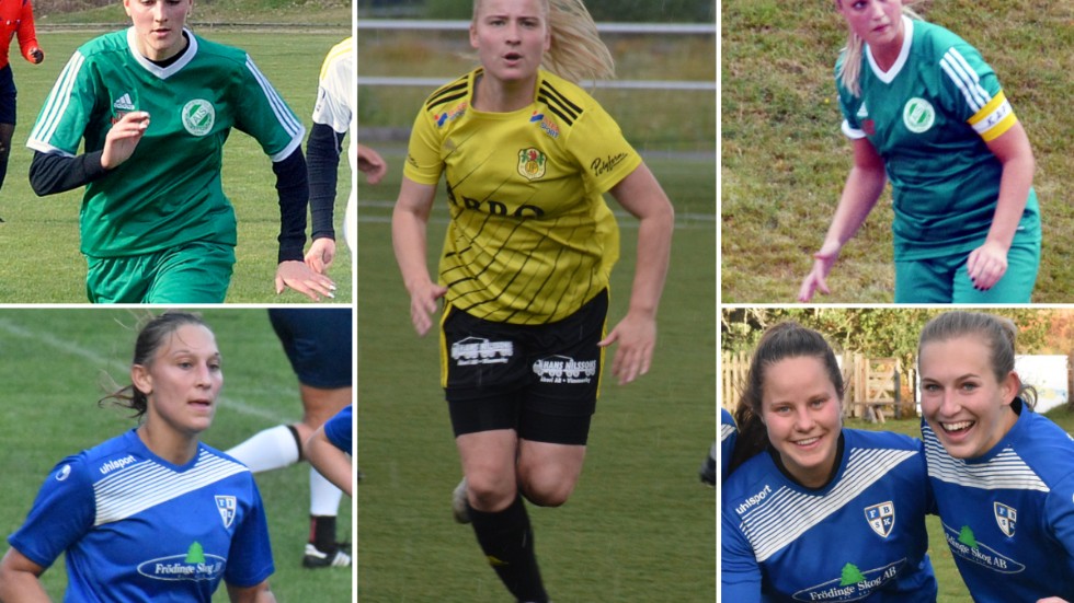 Felicia Arvidsson, Amanda Sundberg, Emma Wessman, Evelina Bertilsson, Louise Andersson och Linn Uhre är några av spelarna som ingår i truppen när Frödinge gör en nysatsning.