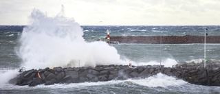 SMHI: Här blåste det mest på Gotland • Så starka har vindarna varit