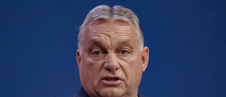 Datum spikat för ungerskt val