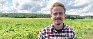 Satsar i Västerbottens regnigaste by – Jonas bytte blåställ mot potatisåker
