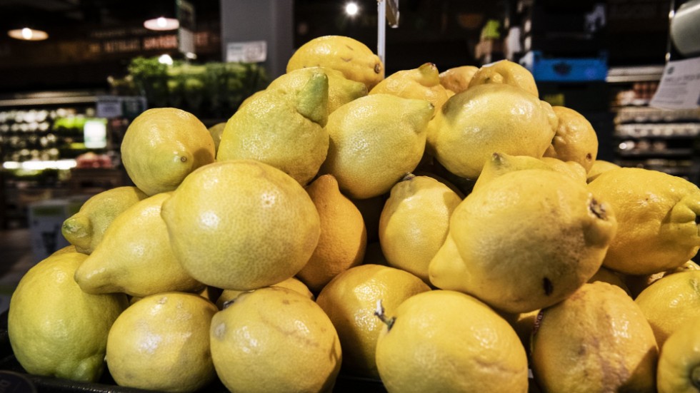 Citroner förekommer på dagens ledarsida. Därför denna bild på vackert gula citrusfrukter. Att bita i en citron då och då och våga prova en annan väg är också matnyttigt för ledande politiker. 