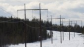 V: Skydda konsumenter från ockerpriser