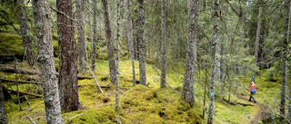 I Uppsala län är 38 procent av marken skyddad 