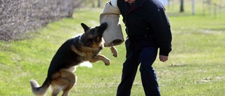 Kvinna med hund attackerades av schäferblandning