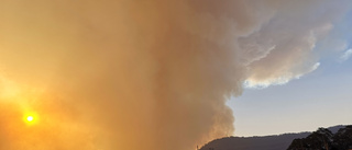 Rapport: Australiens bränder blir värre