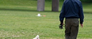 Hund sköts med luftvapen i Gottsunda