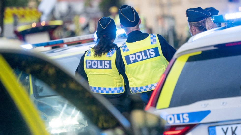 Det finns inget enskilt förslag som kommer att stoppa en 22-årig man att råna en kvinna i rullstol i Skellefteå.