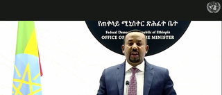 Maktelit byts ut under etiopisk konflikt