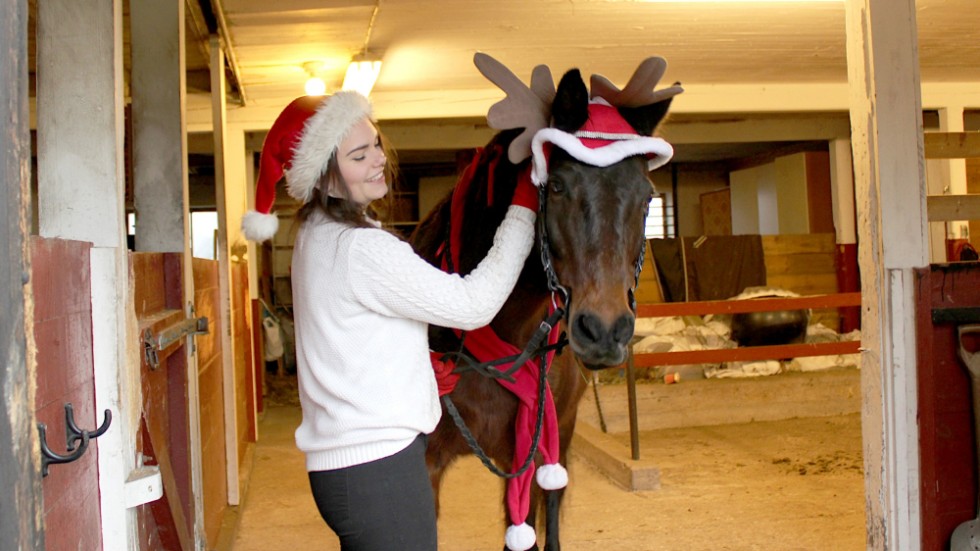 Josefine hade besökt stallet på julafton oavsett, men nu kommer hon och Gucci spendera många timmar tillsammans med att rida runt i Mörlunda och förgylla dagen för andra. 