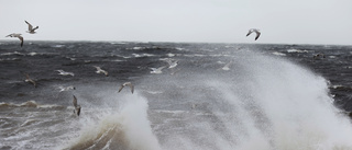 Finländsk storm slår hårt mot svenska kusten