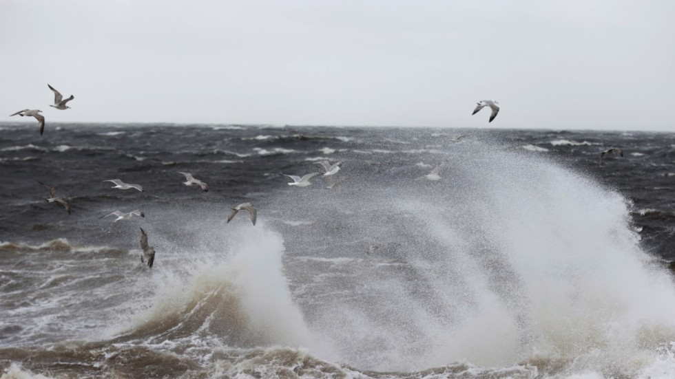 SMHI har utfärdat en klass 1-varning för kuling över Östersjön, Bottenhavet och Bottenviken. I nordöstra Västerbotten råder en klass 1-varning för mycket hårda vindbyar. Arkivbild.
