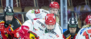 Modos attack mot Luleå Hockey-spelarna: "Trillar för lätt på isen"