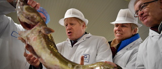 Fisket i centrum för nya brexitsamtal