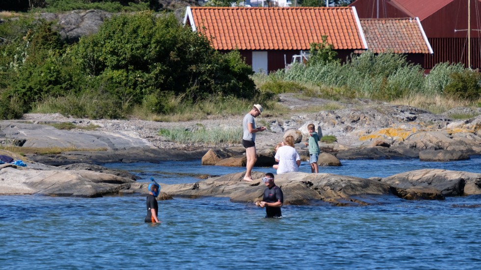 Snorkling och krabbmete är två populära aktiviteter bland yngre besökare på Koster.