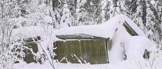 Jobbigt läge i skogen i Boden   