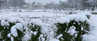 SMHI: Så länge är snön kvar i Vimmerby 