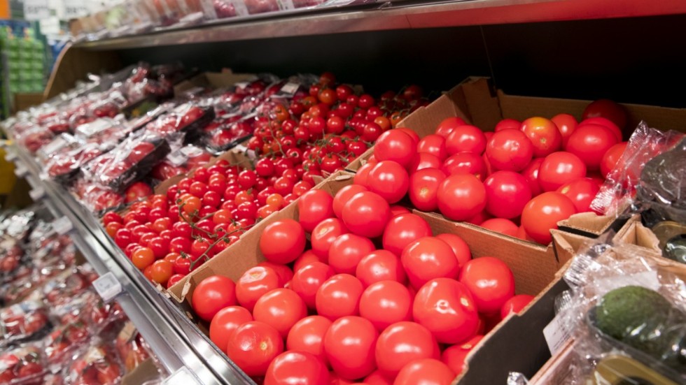 Vad kostar tomaterna? Svenska odlare larmar om svår konkurrens med importerade småtomater. Arkivbild.