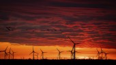Ny vindkraftspark ska ge el åt 90 000 hem
