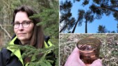 Inga-Lena guidar dig bort från stressen – genom bad under träden