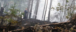 Stor styrka bekämpar skogsbrand