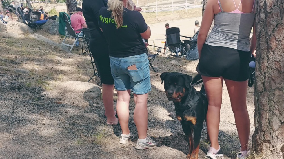 Alldeles intill tävlingsbanan sitter familjer med sina hundar för att ta del av racet.