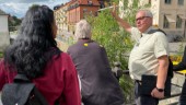 Flyttade till Uppsala för kärleken – och förälskade sig i staden • Guidat i 50 år