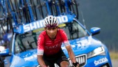 Efter diskningen – Quintana drar sig ur Vueltan
