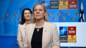 Tidslinje över den svenska Natoprocessen