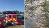 Skogsbranden norr om Gamleby släckt • Insatsen har pågått hela natten • TV: Se när helikoptrarna vattenbombar