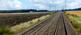 Häst på rymmen stoppade tågtrafiken