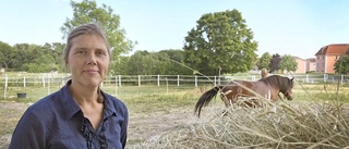 Extrem foderbrist – djurägare tvingas importera hö: "Det kommer att bli dyrt att ha häst"