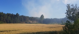 Svårsläckt skogsbrand härjade norr om Valdemarsvik