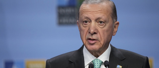 Erdogan: Putin redo förlänga spannmålsavtal